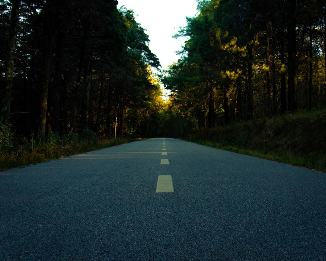 Cum știi că ești pe drumul corect în viață