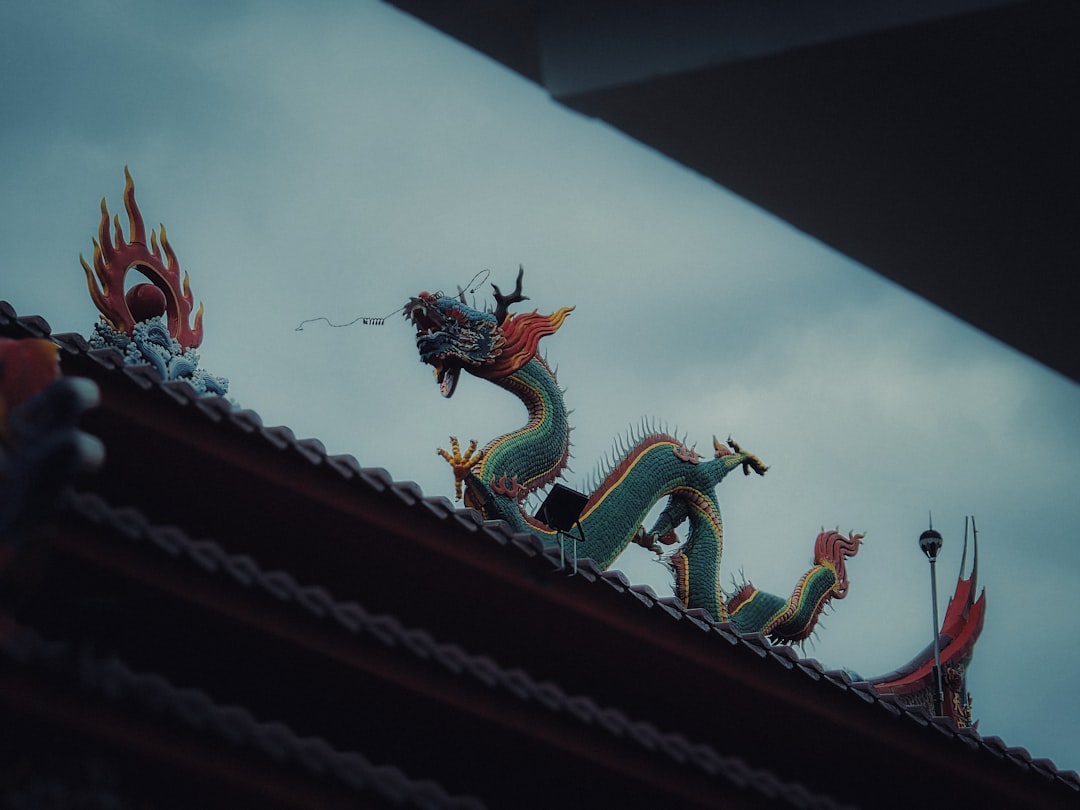 Photo animals symbolism