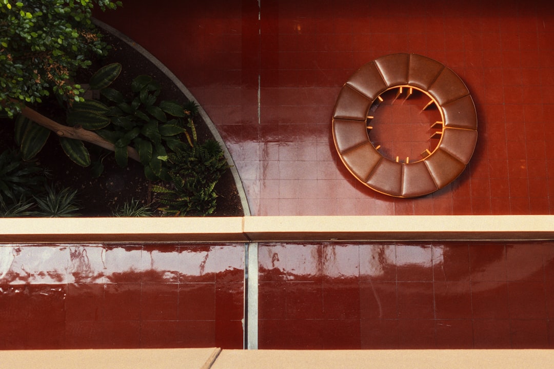 Photo martorii din bord