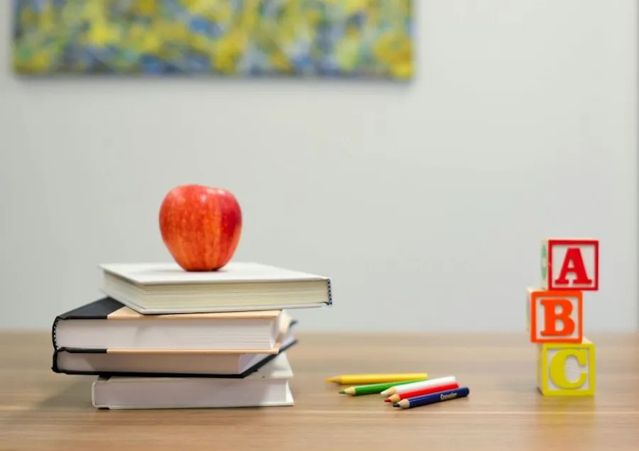 civic education basics